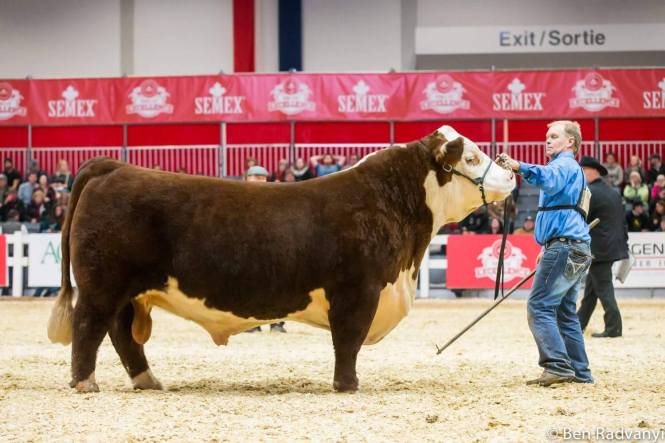 23331083_1871998552811748_9189389581609869573_o