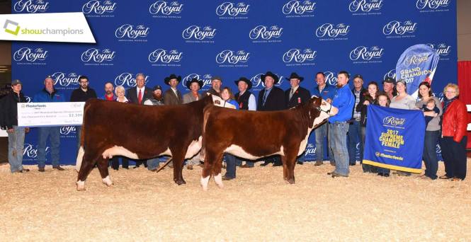 23405971_1871998559478414_667829604637011458_o